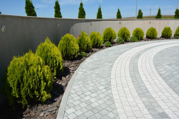 Best Concrete Paver Driveway  in Wichita Falls, TX